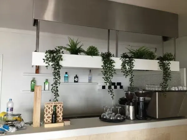 Después: barra renovada con estantería de plantas colgantes