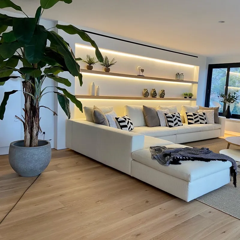 Salón con sofá blanco, palmera, cojines en blanco y negro y estantería iluminada