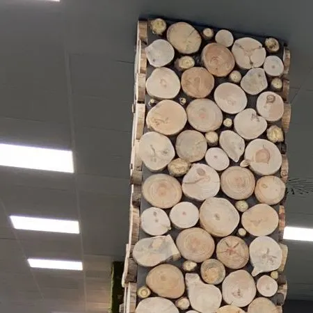Column clad in log slices, Omniaccess offices