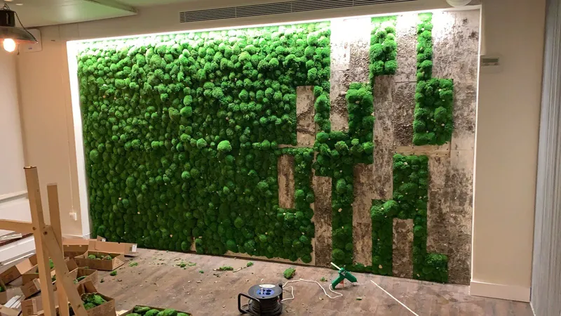 Obra: muro de musgo y abedul casi terminado