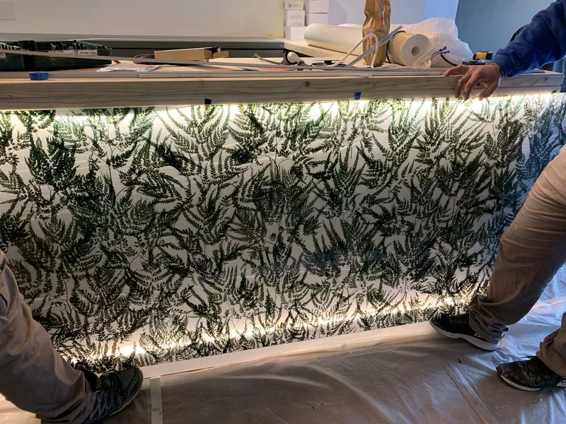 Obra: montaje del panel retroiluminado de helechos en la barra